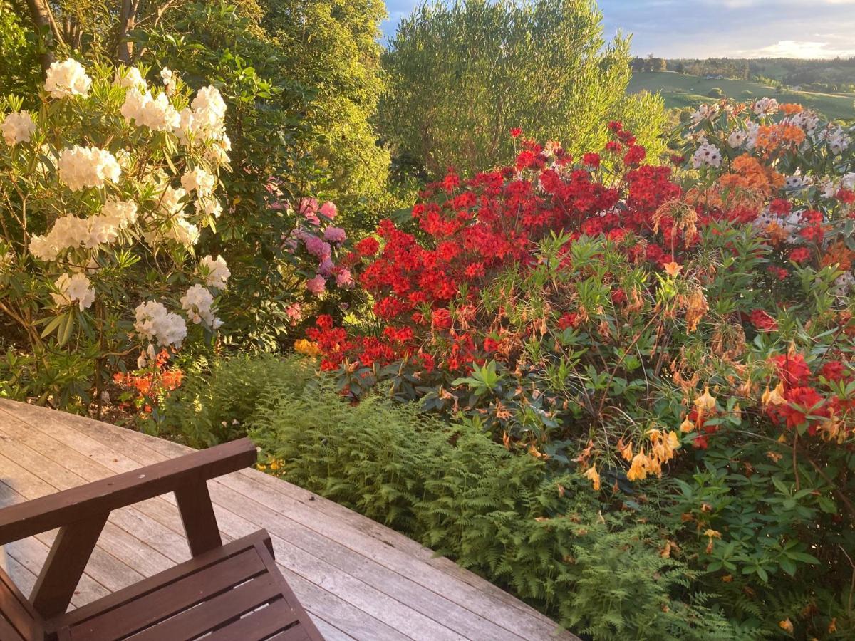 Bed and Breakfast 2 Views At Tasman Esterno foto